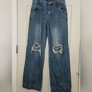 Stylish Blue Distressed Women Jeans
